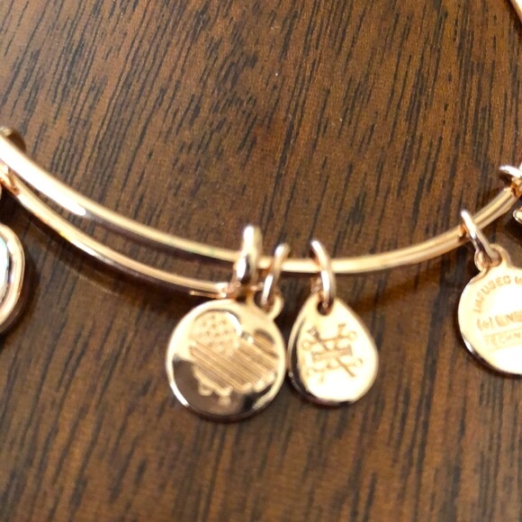 Alex and Ani Guardian Wing Charm Bracelet - Picture 5 of 12